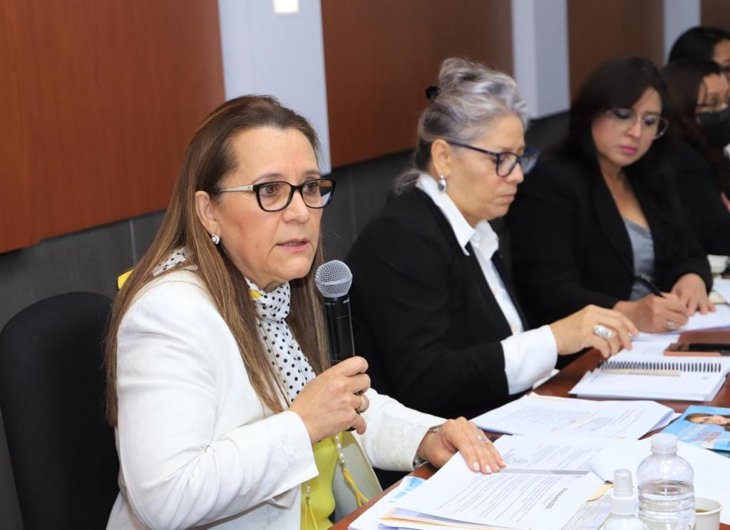 Congreso Nacional y Secretaría de la Mujer crearán estrategias para la protección de las mujeres en el país